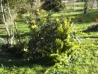 BILD1496.webp