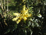 BILD1497.JPG