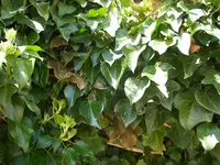 25_04_2019 (41).webp