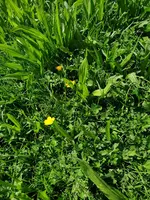 03.webp