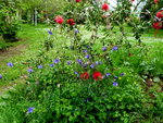 P1020130.JPG