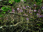 P1020131.JPG