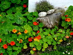 P1020134.JPG