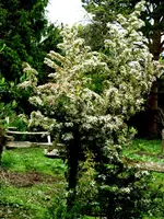 P1020132.webp