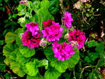P1020138.JPG