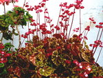 P1020139.JPG