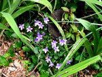 P1020140.JPG