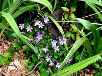 P1020140.webp