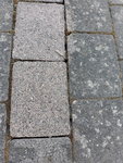 20200425_180517.jpg
