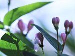image005.jpg