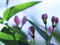 image005.webp