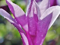 image009.webp