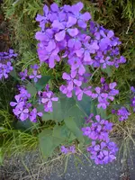 DSC05850.webp
