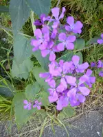 DSC05851.webp