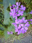 DSC05851.jpg