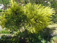 IMG_7127.webp