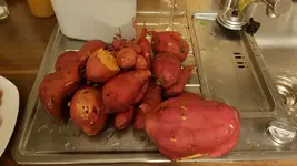 IMG-20180929-WA0000.webp