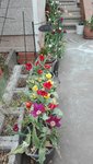 IMG_20200425_182240.jpg