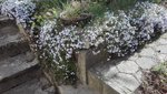 IMG_20200422_162331.jpg