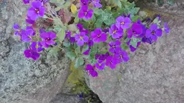 IMG_20200422_162158.webp