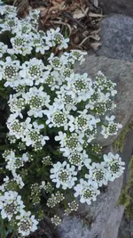 IMG_20200422_162147.webp