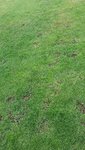 20200427_190555.jpg