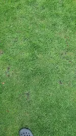 20200427_190548.webp