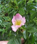 IMG_3344.JPG
