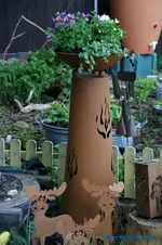 comp_DSC08862.webp
