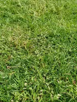 20200428_154326.webp