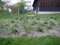 25_04_2019 (17).webp