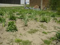 25_04_2019 (22).webp