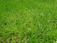20200429_082653.webp