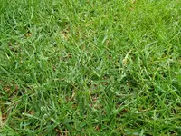 20200429_082623.webp