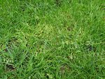 20200429_082615.jpg