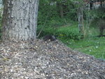 BILD1522.JPG