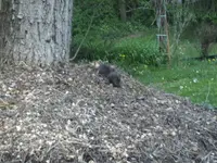 BILD1523.webp