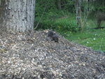 BILD1523.JPG
