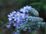 image003.jpg