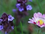 image005.jpg