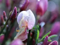 image001.webp