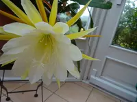 DSC00963.webp