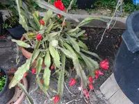 DSC00967.webp
