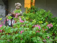 DSC00975.webp