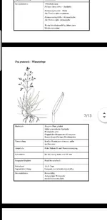 Screenshot_20200422-165528_Drive.webp