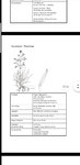 Screenshot_20200422-165528_Drive.jpg