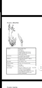 Screenshot_20200422-165634_Drive.webp