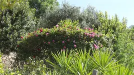 Gloriet4.webp