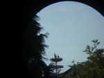 BILD1538.JPG