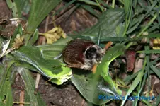 comp_DSC08866.webp